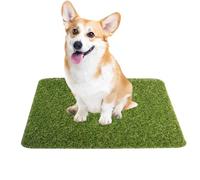 Grass Mat for Dogs, Strong Absorbency, Soft and Real Grass for Potty Training of Pets - Artificial Grass Puppy Pee Pad for Dogs and Small Pets