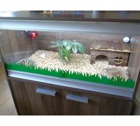 Grass Pattern Vinyl Decal Sticker for Reptile Vivarium Aquarium Terrarium, Decorative Tank Border Background Backdrop (Green, Small)