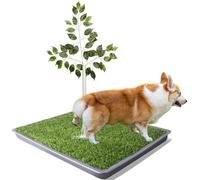 Grass Pee Pads for Dogs, 2 Pack Dog Grass Pad with Tray Washable Artificial Turf, Replaceable Pee Pad for Small, Medium, Large Pet, 26"x26" Grey Tray