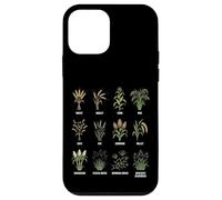 Grasses & Cereals Chart Botanical Guide Plants Enthusiasts Case for iPhone 12 mini