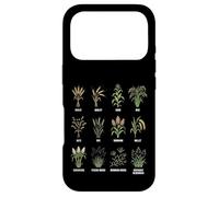 Grasses & Cereals Chart Botanical Guide Plants Enthusiasts Case for iPhone 17 Pro