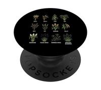 Grasses & Cereals Chart Botanical Guide Plants Enthusiasts PopSockets Adhesive PopGrip