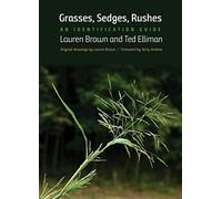 Grasses, Sedges, Rushes: An Identification Guide