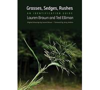 Grasses, Sedges, Rushes : An Identification Guide