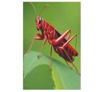 Grasshopper 1000 Pieces of Puzzles for Adults And Children - Wooden Puzzles, Stress Relief Games And Unique Gifts 78×53cm