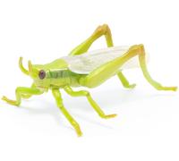 Grasshopper