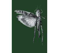 Grasshopper notebook: Part of the Journals for Everything set - 6x9 inches, 100 pages, insects with facts