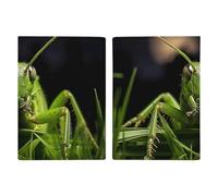 Grasshopper on Grass Leather Passport Holder Handmade Passport Cover with Card And Ticket Slot Easy Access Passport Case Passport Wallet Passport Holder for Women And Men, style, 20.3x13.8cm