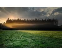 grassland-7000-Piece Adult Puzzle Brain Teaser Game Relaxing Puzzle Puzzle 14 years+