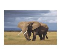 Grassland Africa Elephant Entrance Doormat - Non Slip Washable Doormat - Glass Velvet & Natural Rubber - Soft Low Pile Rug for Indoor Outdoor Entrance, 15.7"x9.6"