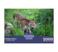 Grassland Leopard Jigsaw Puzzles for Adults Interesting Puzzles 1000 Piece Brain Challenge for Adults Gifts 38x26cm/1000pcs