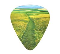 Grassland Paths Guitar Plectrums Classical Triangle Bass Acoustic And Electric Guitar Plectrums For Guitarists 12 Pieces