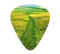 Grassland Pathsguitar Plectrum 12 Piece Set, 3 Thicknesses With Case For Bass Guitar, &Electric Guitar And More.