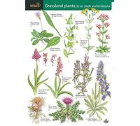 Grassland Plants (2) Chalk and Limestone: v. 2 (WildID)