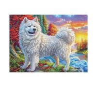 Grassland Smiling Samoyed 500 Piece Jigsaw Puzzle Pack Canine Sunset Grass Teens Beginners Cognitive Development Puzzle Fans Group Play Anniversary Premium Cardboard 500 PCS