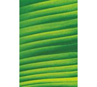 GRASSLANDS 6X9 INCH , MATTE , [110] PAGES NOTEBOOK.: KNOW YOUR VALUE UNTIL IT RUIN.