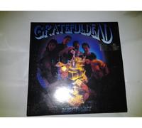 Grateful Dead - Built to Last