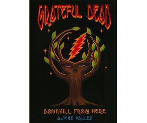 GRATEFUL DEAD - DOWNHILL FROM HERE NEW REGION 1 DVD