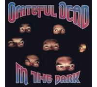 Grateful Dead In the Dark LP Vin - NEW