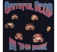 Grateful Dead - In the Dark - Vinyl Record - J3z