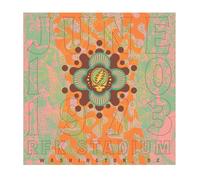 Grateful Dead RFK Stadium, Washington DC 06/10/1973 - Ltd Edition 8x Vinyl LP in Black Grateful Dead Black