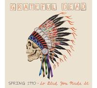Spring 1990-so Glad You Made It [VINYL]