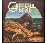 Grateful Dead - Wake Of The Flood - 1LP 50th Anniversary