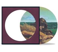 Grateful Dead - Wake Of The Flood (50th Anniversary Picture Disc) [VINYL]