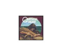 GRATEFUL DEAD: WAKE OF THE FLOOD - LP vinyl BRAND NEW