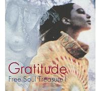 Gratitude: Suburbia Meets Ultra-Vybe ''Free Soul Treasure 1'' [VINYL]