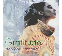 Gratitude: Suburbia Meets Ultra-Vybe ''Free Soul Treasure 2'' [VINYL]