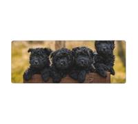 GRatka Affenpinscher Family Puppies Black Dogs Monkey,Mouse Pad Large Desk Pad Computer Keyboard Mouse Mat With Non Slip Rubber Base 30 x 80 cm