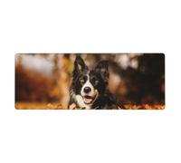 GRatka Border Collie Bokeh Autumn Black Border Collie,Mouse Pad Large Desk Pad Computer Keyboard Mouse Mat With Non Slip Rubber Base 30 x 80 cm
