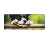 GRatka Border Collie Dog Green,Mouse Pad Large Desk Pad Computer Keyboard Mouse Mat With Non Slip Rubber Base 30 x 80 cm