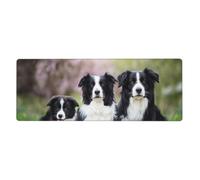 GRatka Border Collie Family,Mouse Pad Large Desk Pad Computer Keyboard Mouse Mat With Non Slip Rubber Base 30 x 80 cm