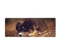 GRatka Border Collie Puppy Bokeh Brown Border Collie,Mouse Pad Large Desk Pad Computer Keyboard Mouse Mat With Non Slip Rubber Base 30 x 80 cm