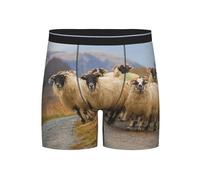 GRatka Boxer Briefs,Mens Underpants Boxer Shorts Leg Boxer Briefs Funny Novelty Underwear,Flock Of Scottish Blackface Sheep Ewes