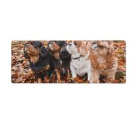 GRatka Cavalier King Charles Spaniel Autumn Puppies,Mouse Pad Large Desk Pad Computer Keyboard Mouse Mat With Non Slip Rubber Base 30 x 80 cm
