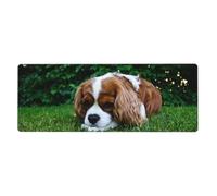 GRatka Cavalier King Charles Spaniel Brownish White,Mouse Pad Large Desk Pad Computer Keyboard Mouse Mat With Non Slip Rubber Base 30 x 80 cm