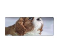 GRatka Cavalier King Charles Spaniel Face,Mouse Pad Large Desk Pad Computer Keyboard Mouse Mat With Non Slip Rubber Base 30 x 80 cm