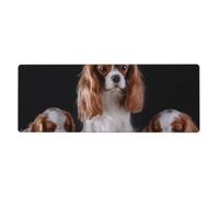 GRatka Cavalier King Charles Spaniel Mother With Cubs,Mouse Pad Large Desk Pad Computer Keyboard Mouse Mat With Non Slip Rubber Base 30 x 80 cm