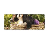 GRatka Cavalier King Charles Spaniel,Mouse Pad Large Desk Pad Computer Keyboard Mouse Mat With Non Slip Rubber Base 30 x 80 cm