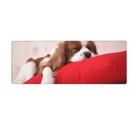 GRatka Cavalier King Charles Spaniel Pattern,Mouse Pad Large Desk Pad Computer Keyboard Mouse Mat With Non Slip Rubber Base 30 x 80 cm