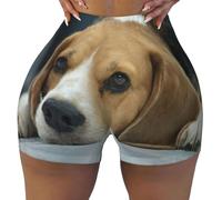 GRatka Cute Beagle Dog Lies On Floor,Women's Workout Shorts, Stretch Gym Shorts Running Sport,S