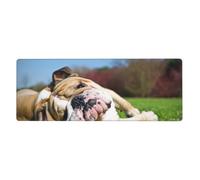 GRatka English BullDogs Tired Dogs Lawn Pets English,Mouse Pad Large Desk Pad Computer Keyboard Mouse Mat With Non Slip Rubber Base 30 x 80 cm