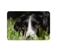 Outdoor Doormat, Indoor Entrance Non-Slip Doormats, Outside Patio Rug Pad 40x60 cm, Border Collie Pets Grass Black Border Collie