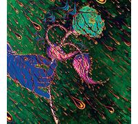 Grave Flowers Bongo Band - Strength Of Spring [VINYL]