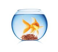 Gravel Plant Decorations Aquarium Pebbles Small Fish Tank Artificial Landscape Rock Covers Water Garden Decoration Terrarium Decor Turtle Tank Rocks Stones Decorate
