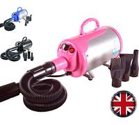 Gravitis Pet Supplies 2800w Professional Pet Hair Dryer with Hose - A Powerful but Quiet Dog Dryer with Variable Speed (Pink)