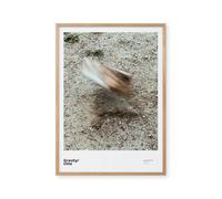 Gravity/forces 50x70 Poster